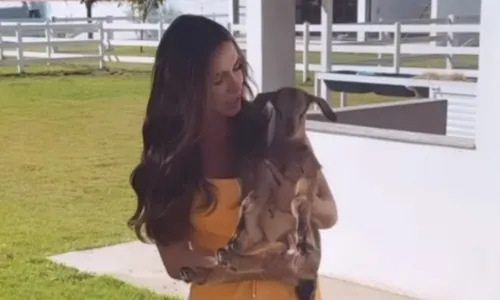 
				
					Ivete Sangalo reage após 'virar' vaca na fazenda de Nicole Bahls
				
				