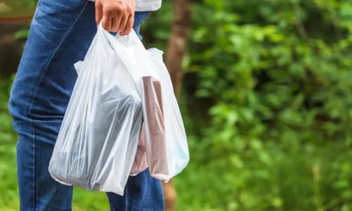 
				
					Lei que obriga comércio a oferecer sacolas plásticas é sancionada
				
				