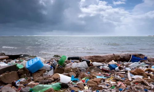 
				
					Lixo nas praias do sul da Bahia vem de mais de 20 países, diz pesquisa
				
				