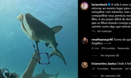 
				
					Luciano Huck e filho chocam web ao nadar com tubarões; veja vídeo
				
				