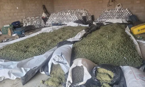 
				
					Mais de duas toneladas de maconha são apreendidas na Bahia
				
				