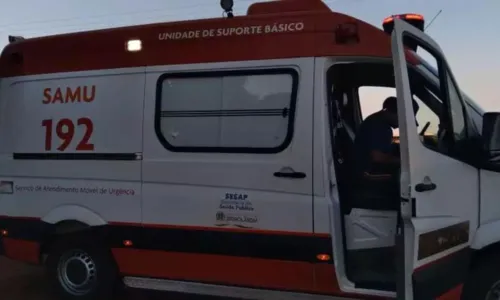 
				
					Médico de 34 anos morre após veículo bater em vaca e capotar na Bahia
				
				