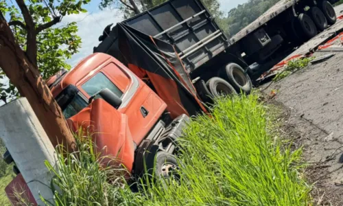 
				
					Motorista bate carreta carregada em árvore e derruba móveis na Bahia
				
				