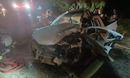 
				
					Motorista colide com caminhão após se assustar com morcegos na Bahia
				
				