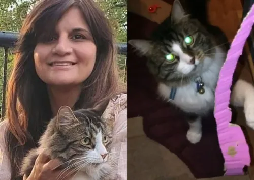 
				
					Mulher descobre câncer após gato mexer em caroço 'invisível' no seio
				
				