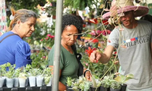 
				
					Parque da Cidade recebe feira agroecológica gratuita neste sábado (8)
				
				