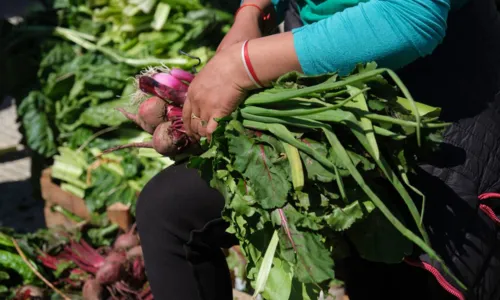 
				
					Parque da Cidade recebe feira agroecológica gratuita neste sábado (8)
				
				