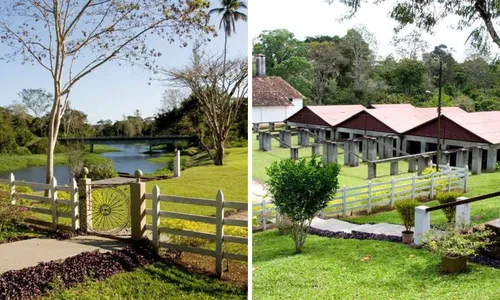 
				
					Rota turística do cacau e chocolate mostra belezas naturais de Ilhéus
				
				