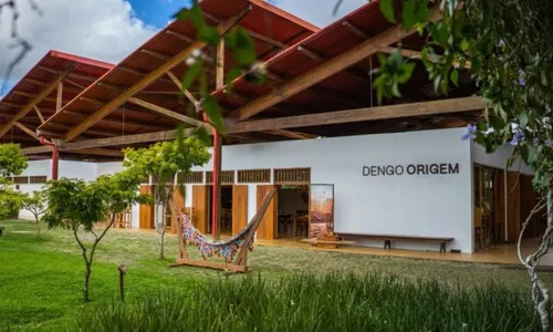 
				
					Rota turística do cacau e chocolate mostra belezas naturais de Ilhéus
				
				