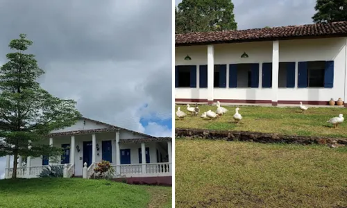 
				
					Rota turística do cacau e chocolate mostra belezas naturais de Ilhéus
				
				