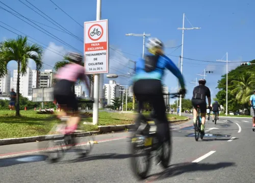 
				
					Salvador ganha novas ciclovias até o final do ano; veja onde
				
				