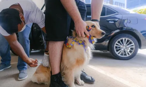 
				
					Salvador inicia vacinação em cães e gatos; veja onde levar seu pet
				
				