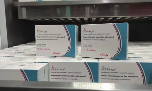 
				
					Sesab amplia faixa etária para vacina contra a dengue; entenda
				
				