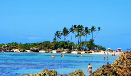 
				
					Picada de aranha pode ter sido causa da morte de turista na Bahia
				
				