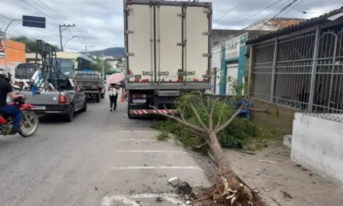 
				
					VÍDEO: Caminhão atravessa via desgovernado e bate em 6 veículos na BA
				
				