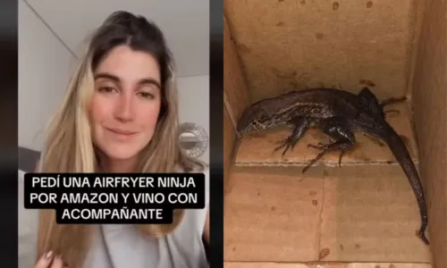 
				
					VÍDEO: mulher compra air fryer e recebe animal dentro de caixa
				
				