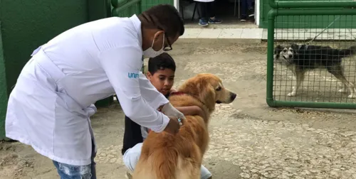 
				
					Vacinação antirrábica acontece em 15 bairros de Feira de Santana; veja
				
				