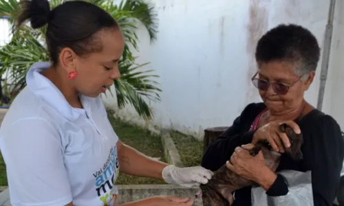 
				
					Vacinação antirrábica acontece em dez bairros de Feira de Santana
				
				