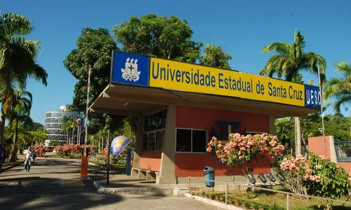 
				
					Vagas para professor substituto têm salários até R$ 1,8 mil em Ilhéus
				
				