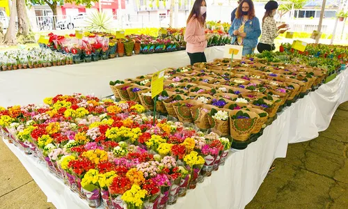 
				
					Vitória da Conquista sedia 17ª edição da Feira de Flores de Holambra
				
				