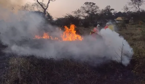 
				
					Vitória da Conquista tem 6 incêndios florestais em 48h; veja causas
				
				