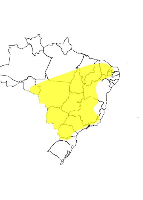 
				
					Baixa umidade deixa mais de 80 cidades baianas em estado de alerta
				
				