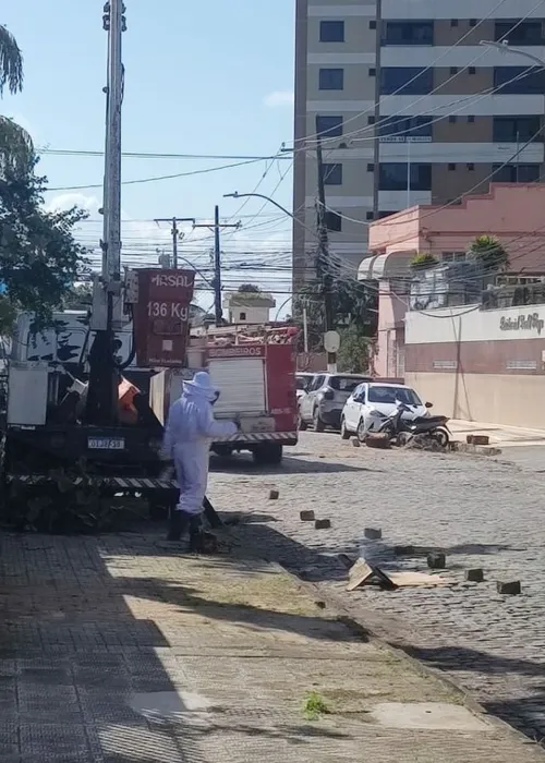 
				
					Homem é atacado por abelhas após tentar remover colmeia em Ilhéus
				
				