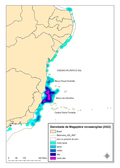 
				
					Mais de mil baleias já foram vistas no sul da Bahia nesse ano
				
				