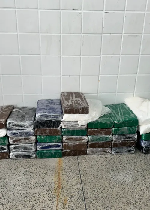 
				
					PM desmancha laboratório de drogas com quase 40 kg de cocaína na Bahia
				
				