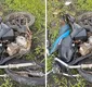 
                  Acidente com moto deixa uma pessoa morta e outra ferida na BR-101