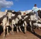 
                  Bahia Farm Show 2024 terá leilão de mais de 1,2 mil cabeças de gado