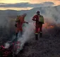 
                  Incêndio atinge cerca de 3 km de vegetação em Jaguarari