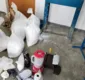 
                  PM desmancha laboratório de drogas com quase 40 kg de cocaína na Bahia