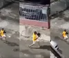 VÍDEO: homem é conduzido à delegacia após agredir cachorro em Salvador