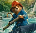 'Paddington: Uma Aventura na Floresta' chega aos cinemas