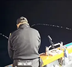 Tubarão salta dentro do barco e assusta pescadores