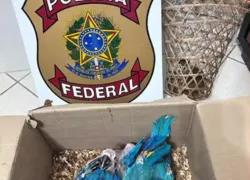 Homem é preso por maus-tratos e comercialização de animais na Bahia