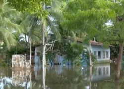 Lauro de Freitas: rio transborda após chuvas atingirem Vila Nova