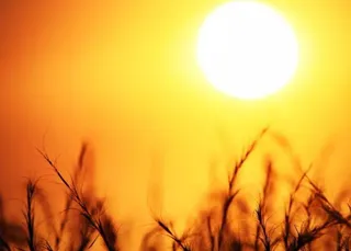 Inema prevê calor acima de 41 °C e umidade abaixo de 15% na Bahia; confira como será o feriado