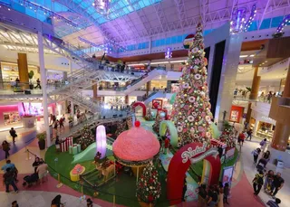 Natal: confira o que abre e o que fecha em Salvador e região