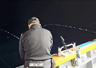 Tubarão salta dentro do barco e assusta pescadores