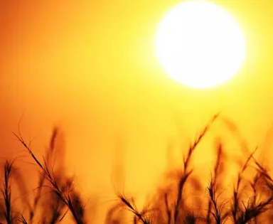 Inema prevê calor acima de 41 °C e umidade abaixo de 15% na Bahia; confira como será o feriado