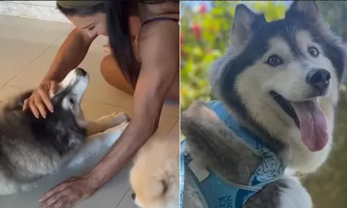 
				
					BBB 25: Gracyanne tem pesadelo após cachorro sumir fora do reality
				
				