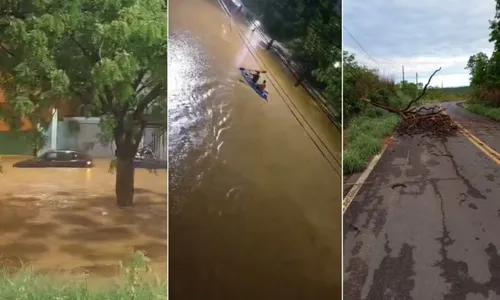 
				
					Chuva causa transtornos e prejuízos no interior da Bahia
				
				