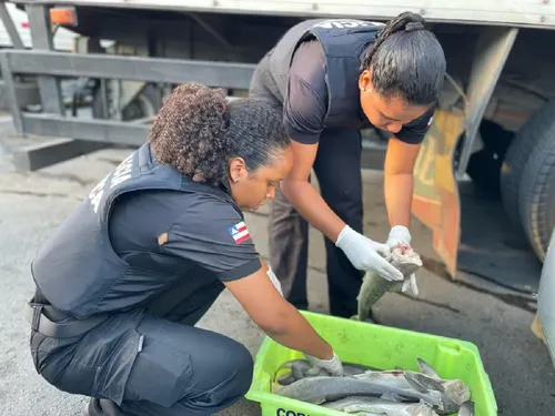 
				
					Dupla é presa após venda de produtos impróprios para consumo na Bahia
				
				