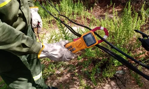 
				
					Empresário é condenado por furto de energia na Bahia
				
				