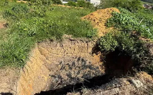 
				
					Gerente da Embasa é preso em flagrante por crime ambiental na Bahia
				
				