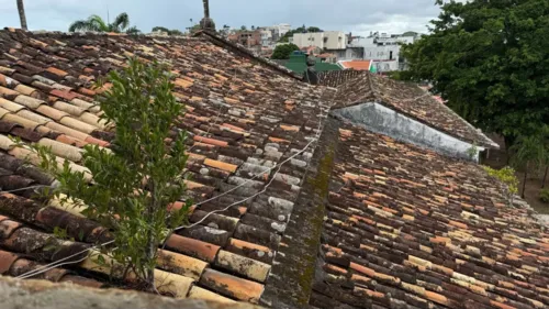 
				
					Igreja da Boa Viagem é fechada após recomendação do Iphan
				
				