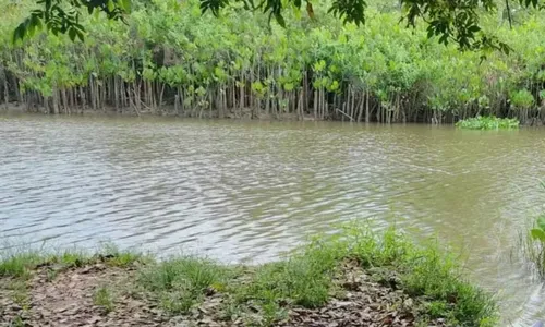 
				
					Jovem morre afogado durante pescaria em destino turístico da Bahia
				
				