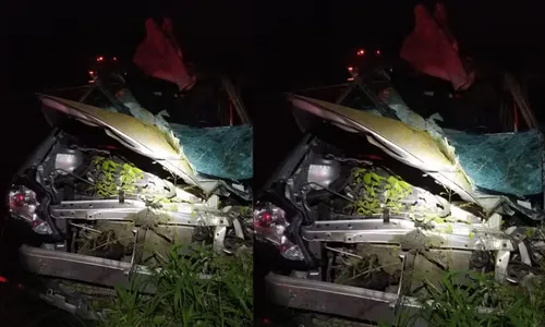 
				
					Médica morre após colisão de carro com cavalo em rodovia na Bahia
				
				